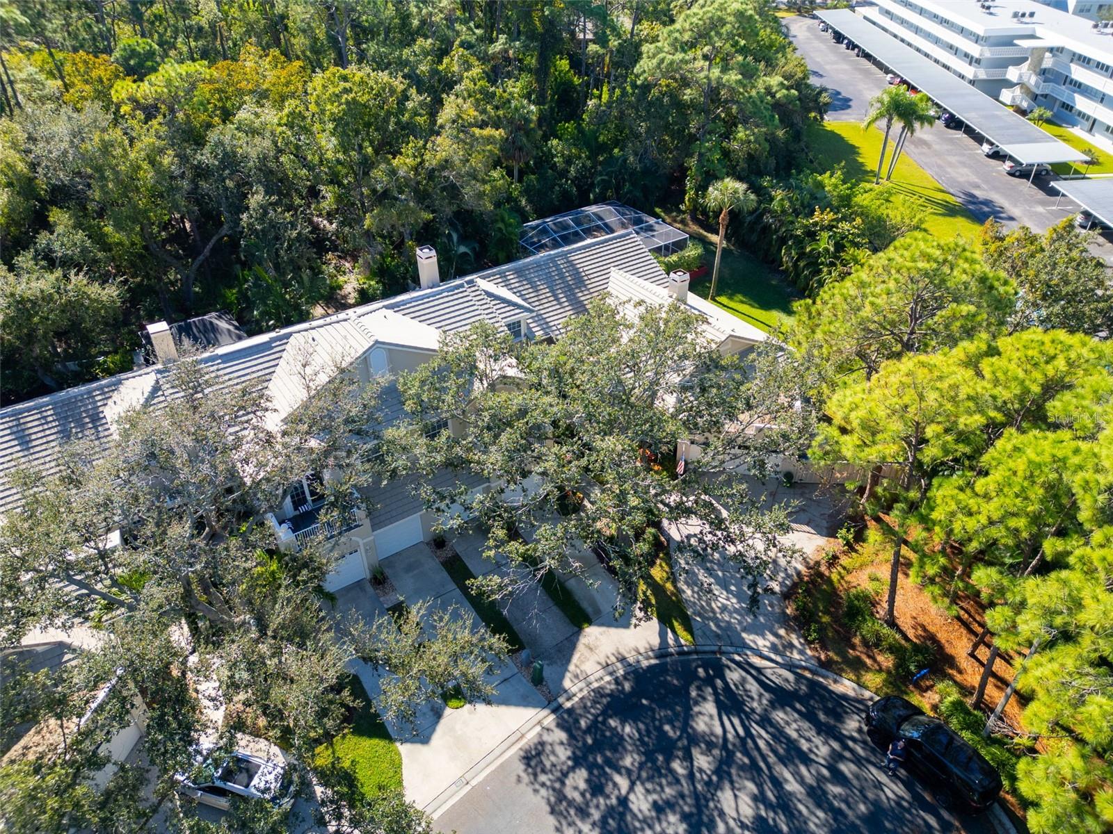 Image 48 of 65 For 306 Fan Palm Court Ne