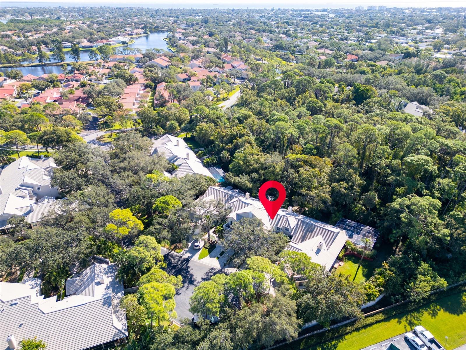 Image 55 of 65 For 306 Fan Palm Court Ne