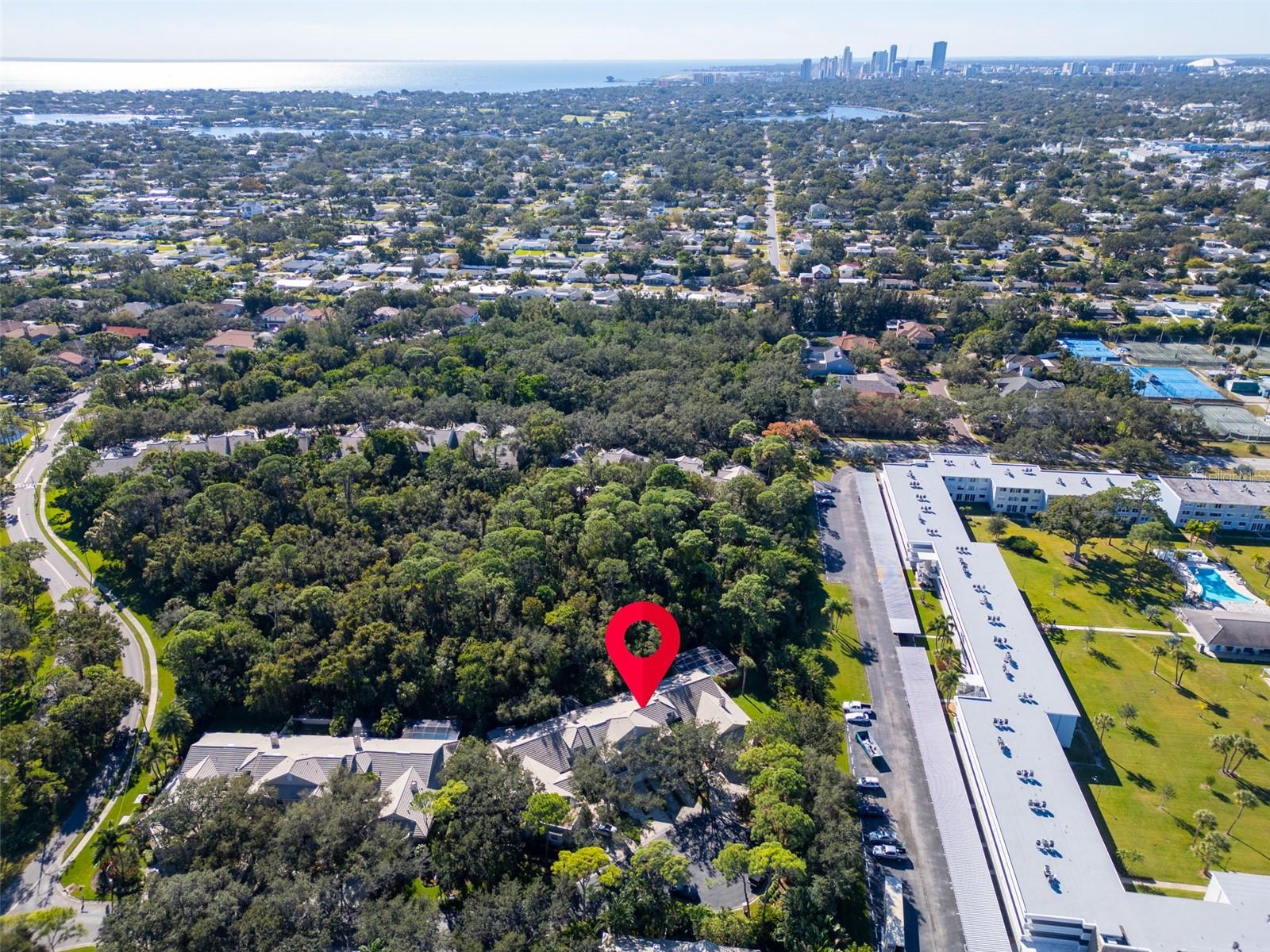 Image 57 of 65 For 306 Fan Palm Court Ne