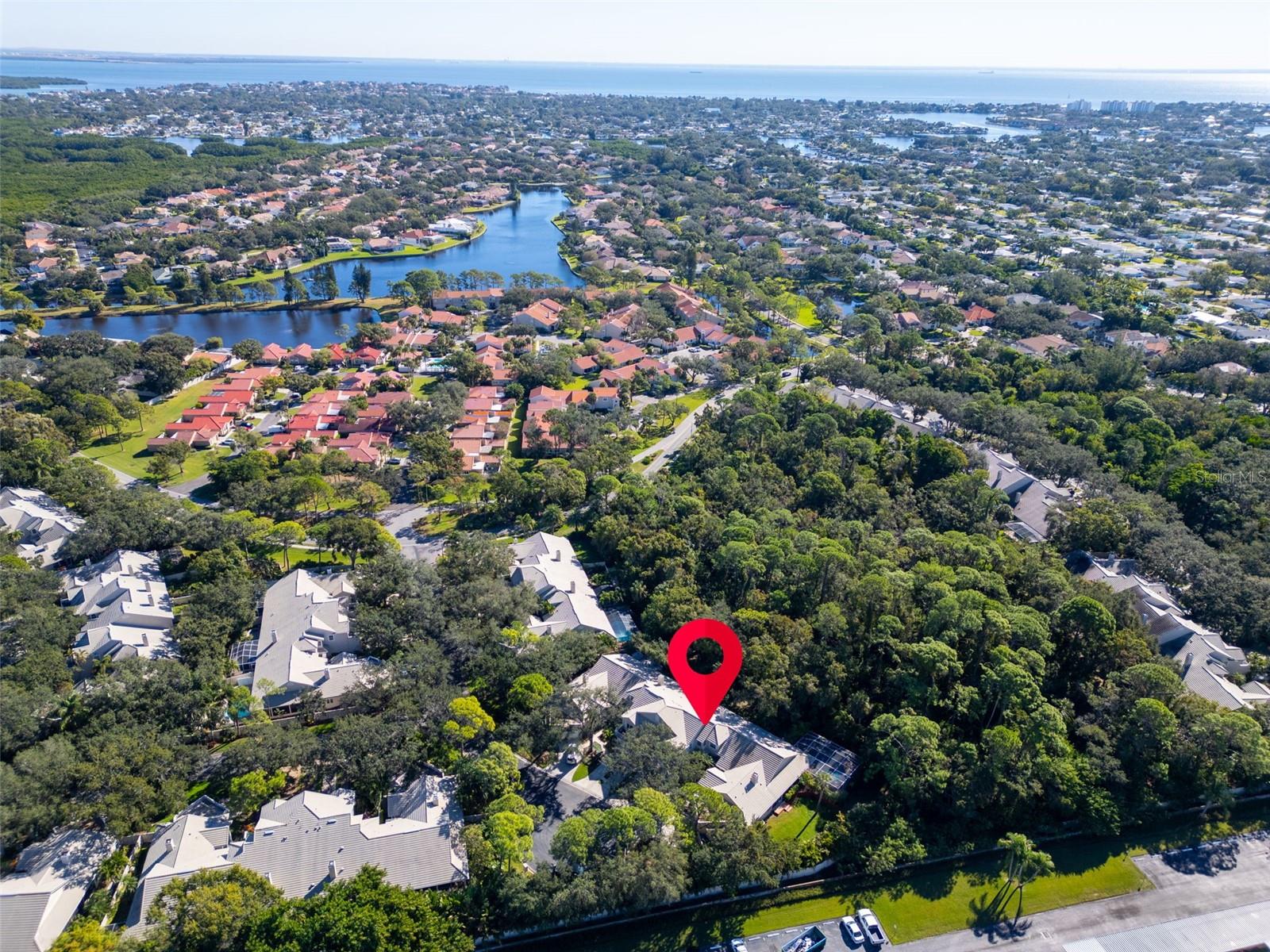 Image 58 of 65 For 306 Fan Palm Court Ne