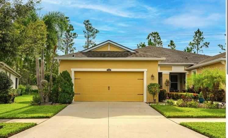 Details for 11714 Wrought Pine Loop, RIVERVIEW, FL 33569