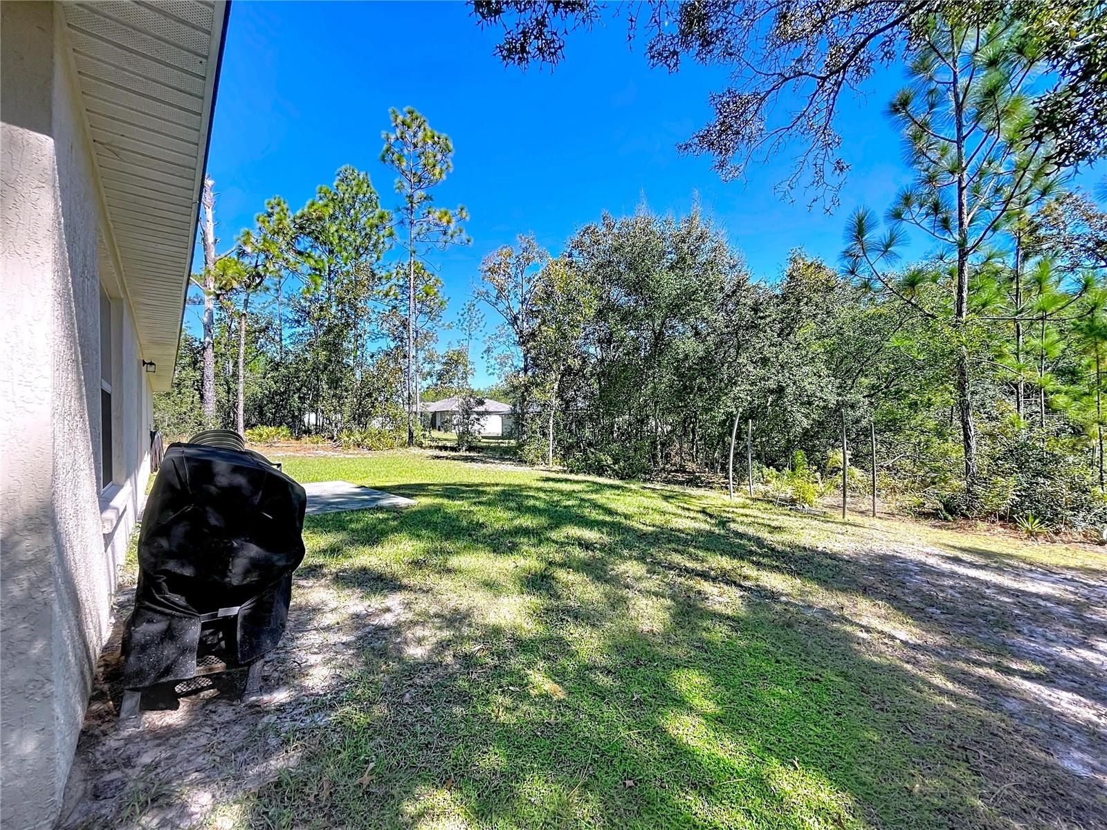 Listing photo id 33 for 9171 Paradisea Drive