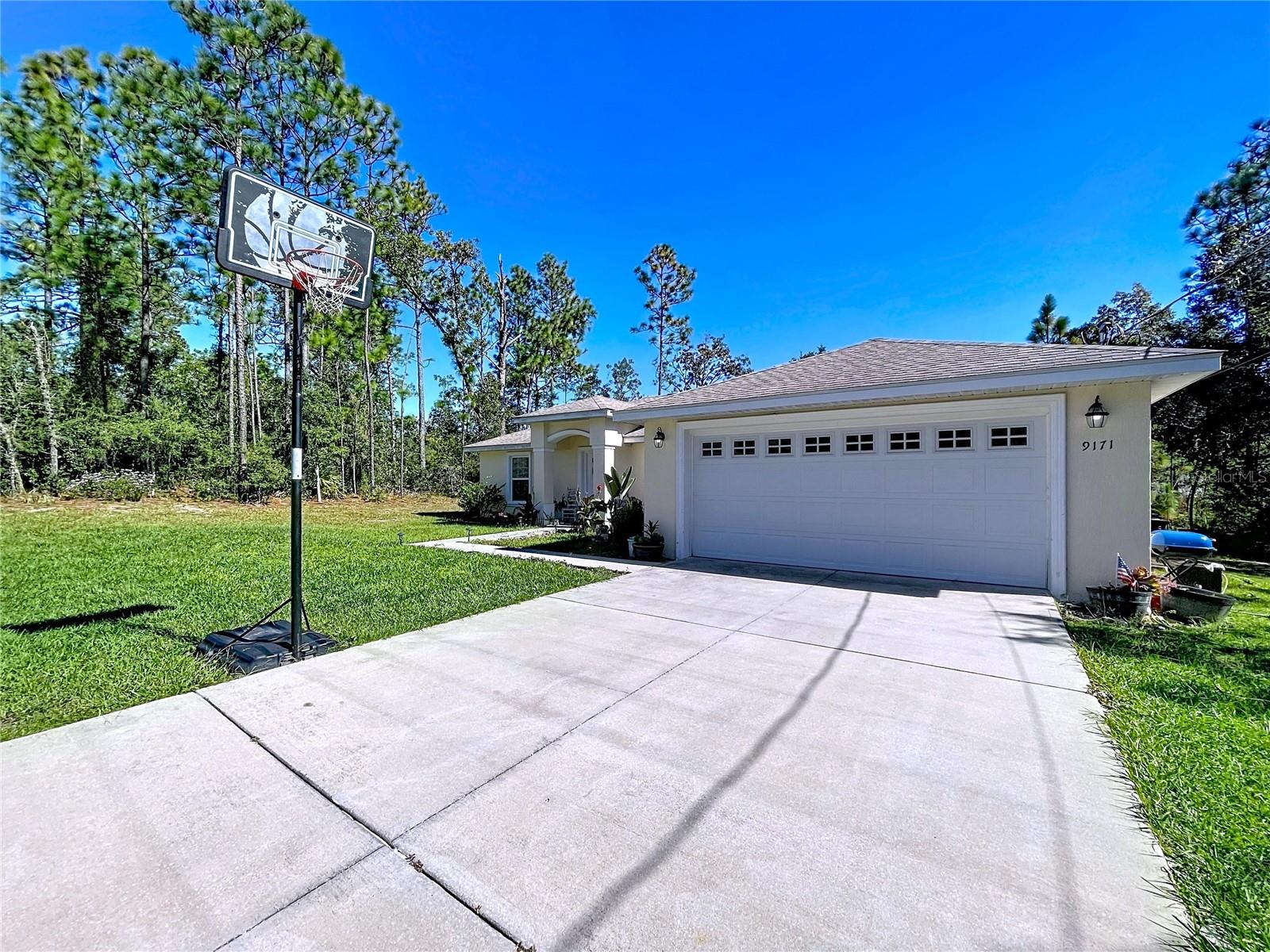 Listing photo id 34 for 9171 Paradisea Drive