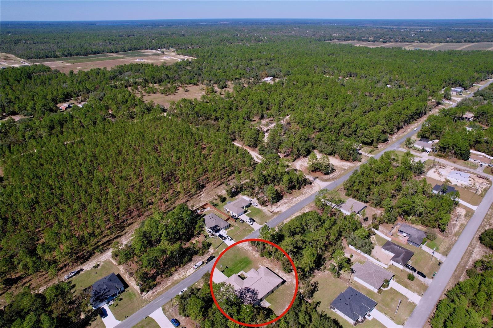 Listing photo id 39 for 9171 Paradisea Drive