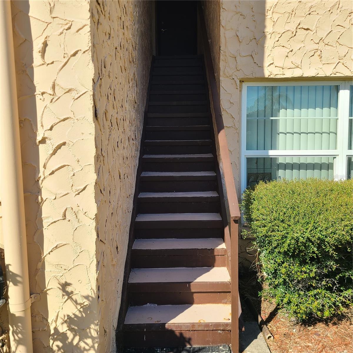 Image 46 of 68 For 220 Buttonwood Circle 220