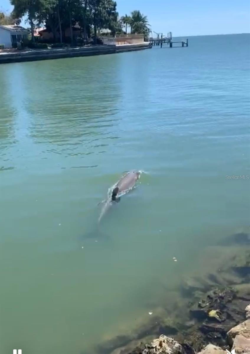 Image 80 of 83 For 6760 29th Street S