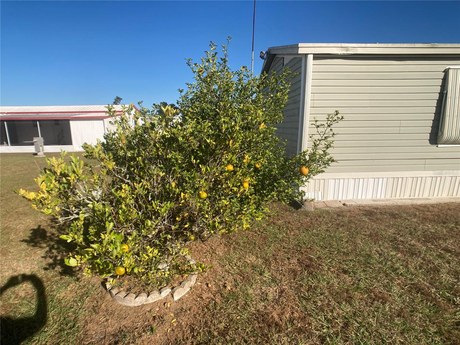 Image 32 of 34 For 1710 7th Street Sw 44