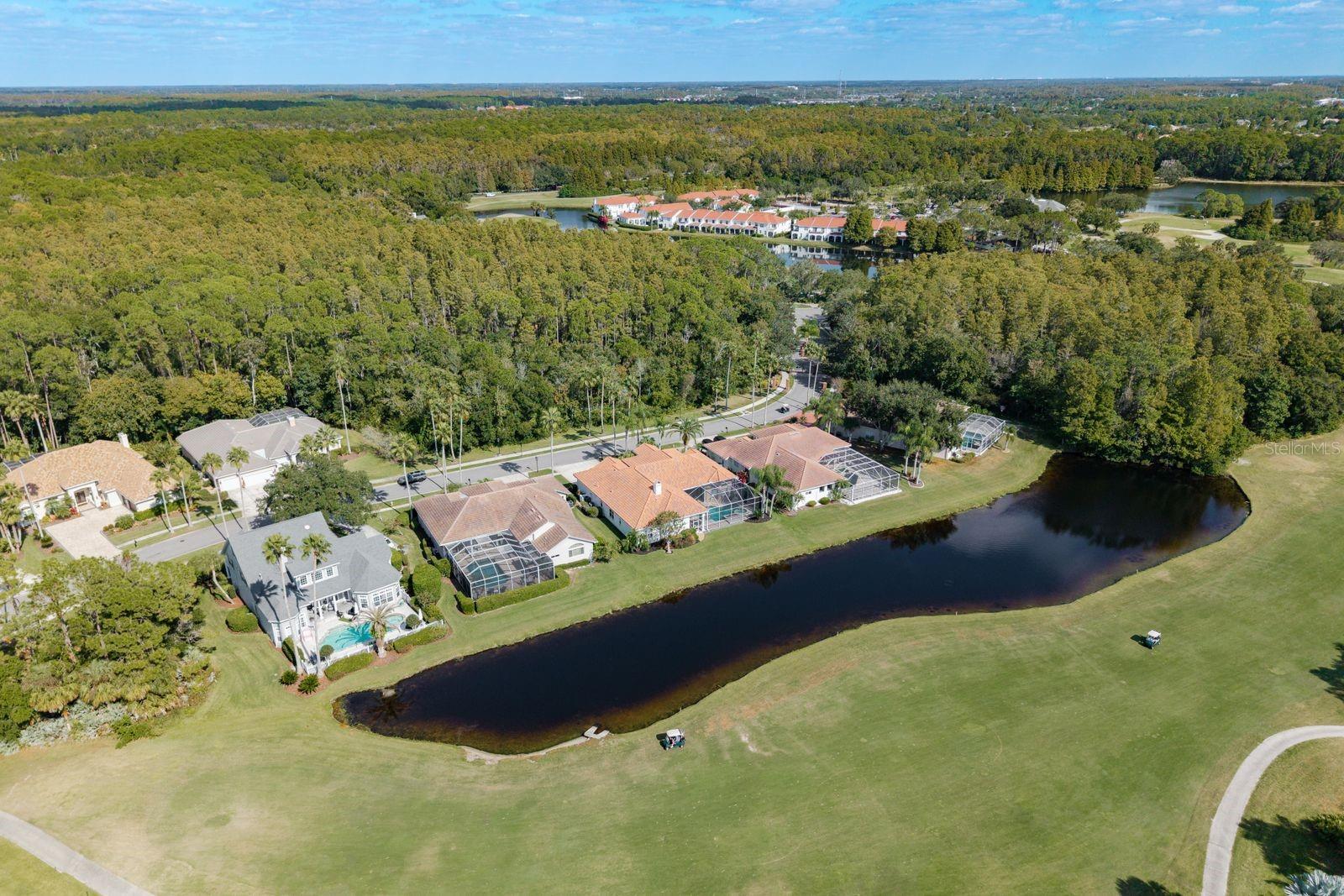 Listing photo id 64 for 10203 Radcliffe Drive