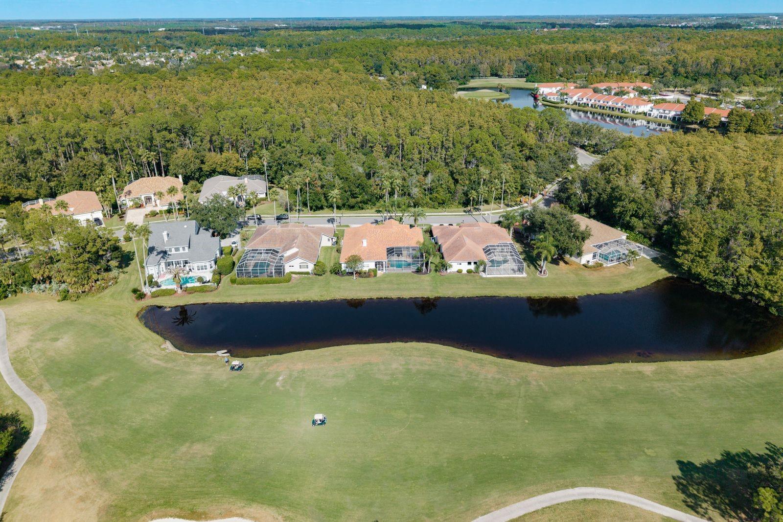 Listing photo id 65 for 10203 Radcliffe Drive