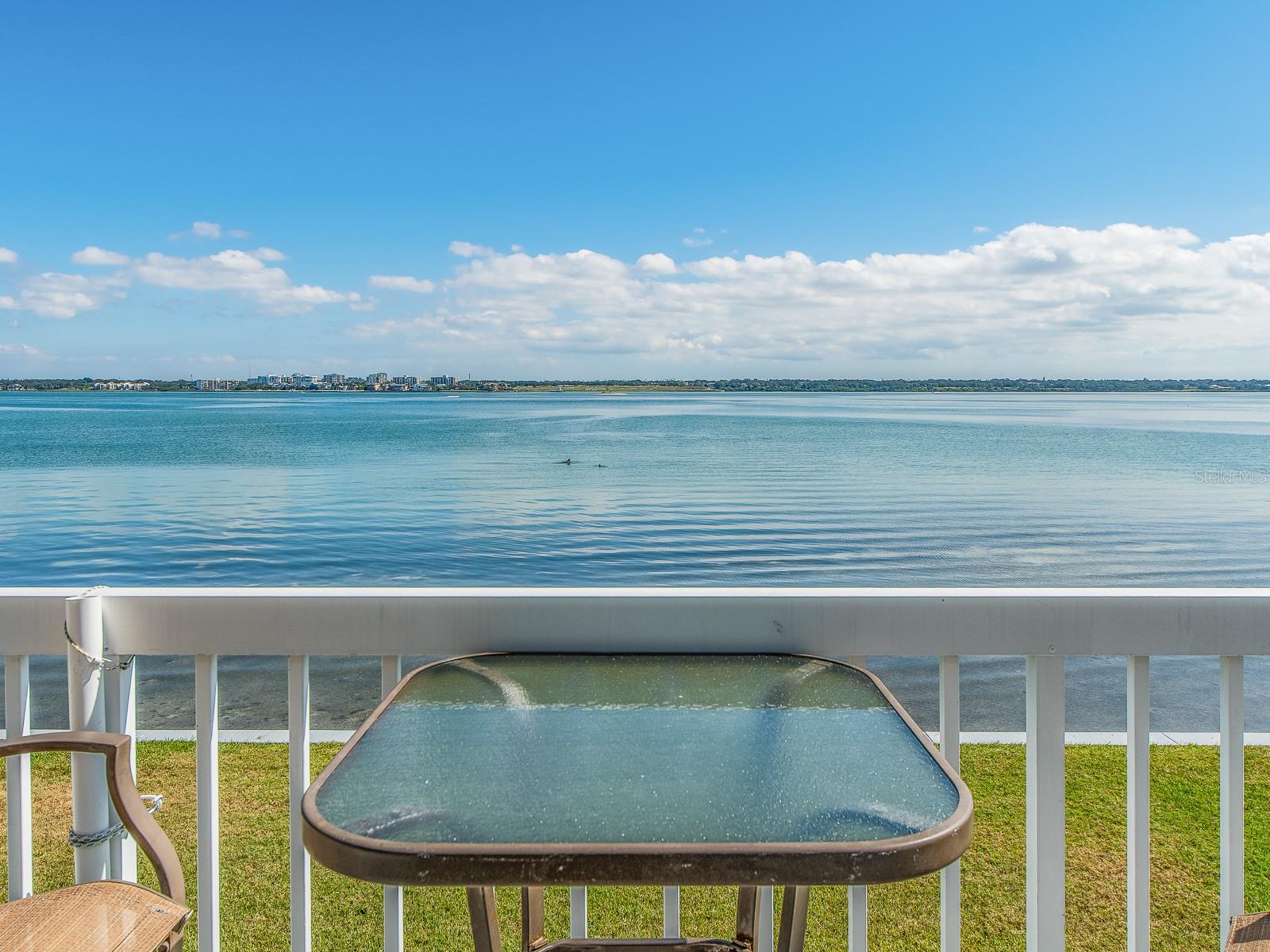 Image 9 of 44 For 1401 Gulf Boulevard 215