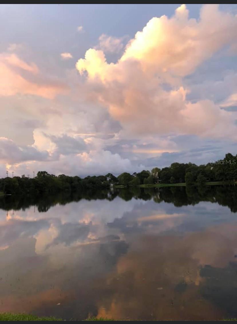 Image 30 of 96 For 2648 Sabal Springs Drive 6