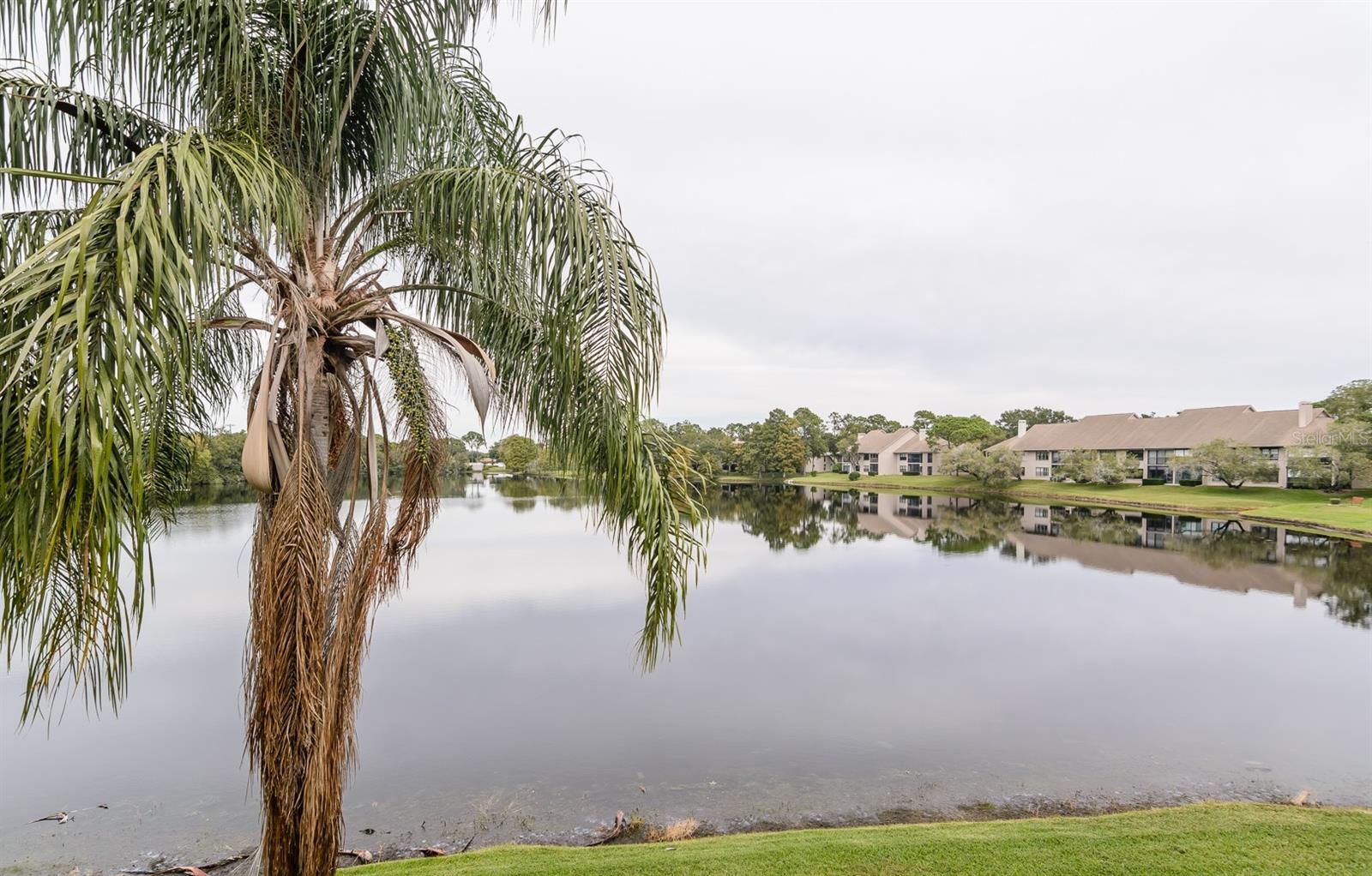 Image 31 of 96 For 2648 Sabal Springs Drive 6