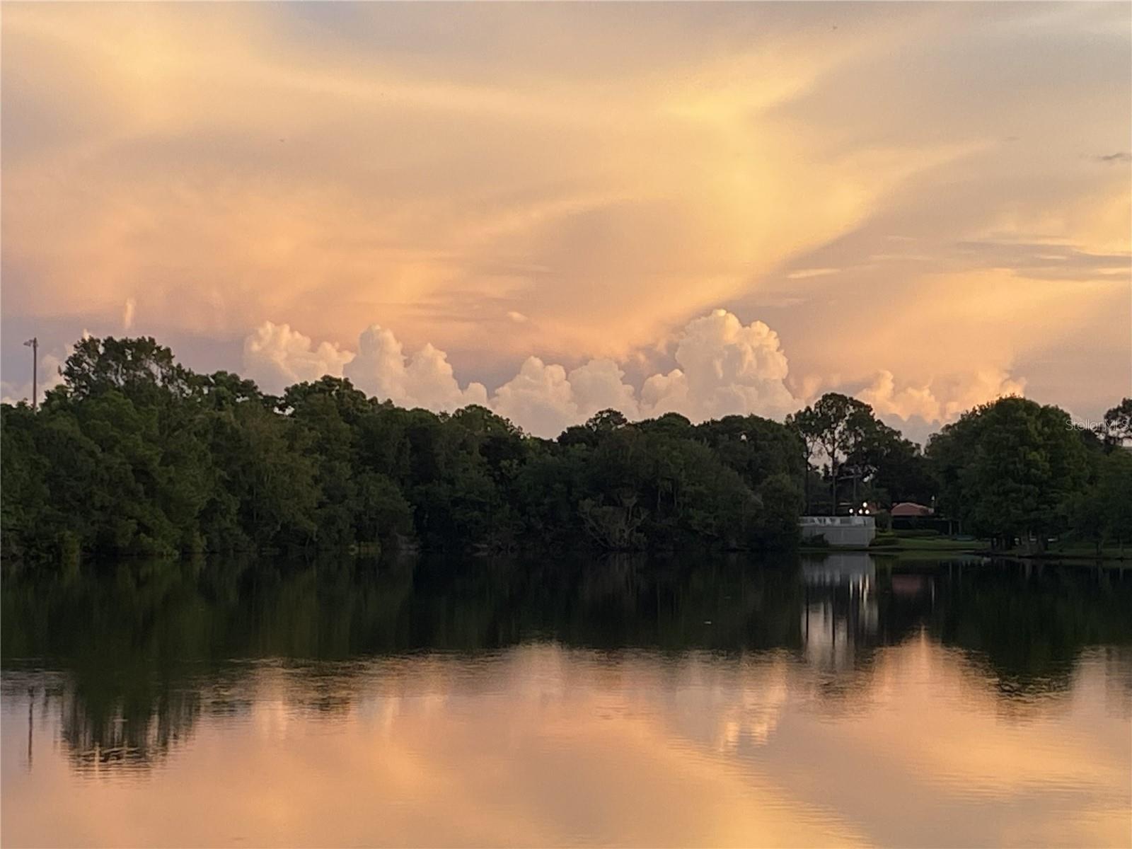 Image 55 of 96 For 2648 Sabal Springs Drive 6