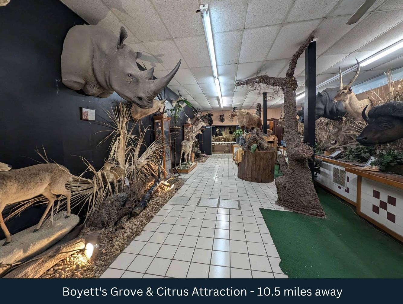 Image 9 of 14 For Old Trilby Road