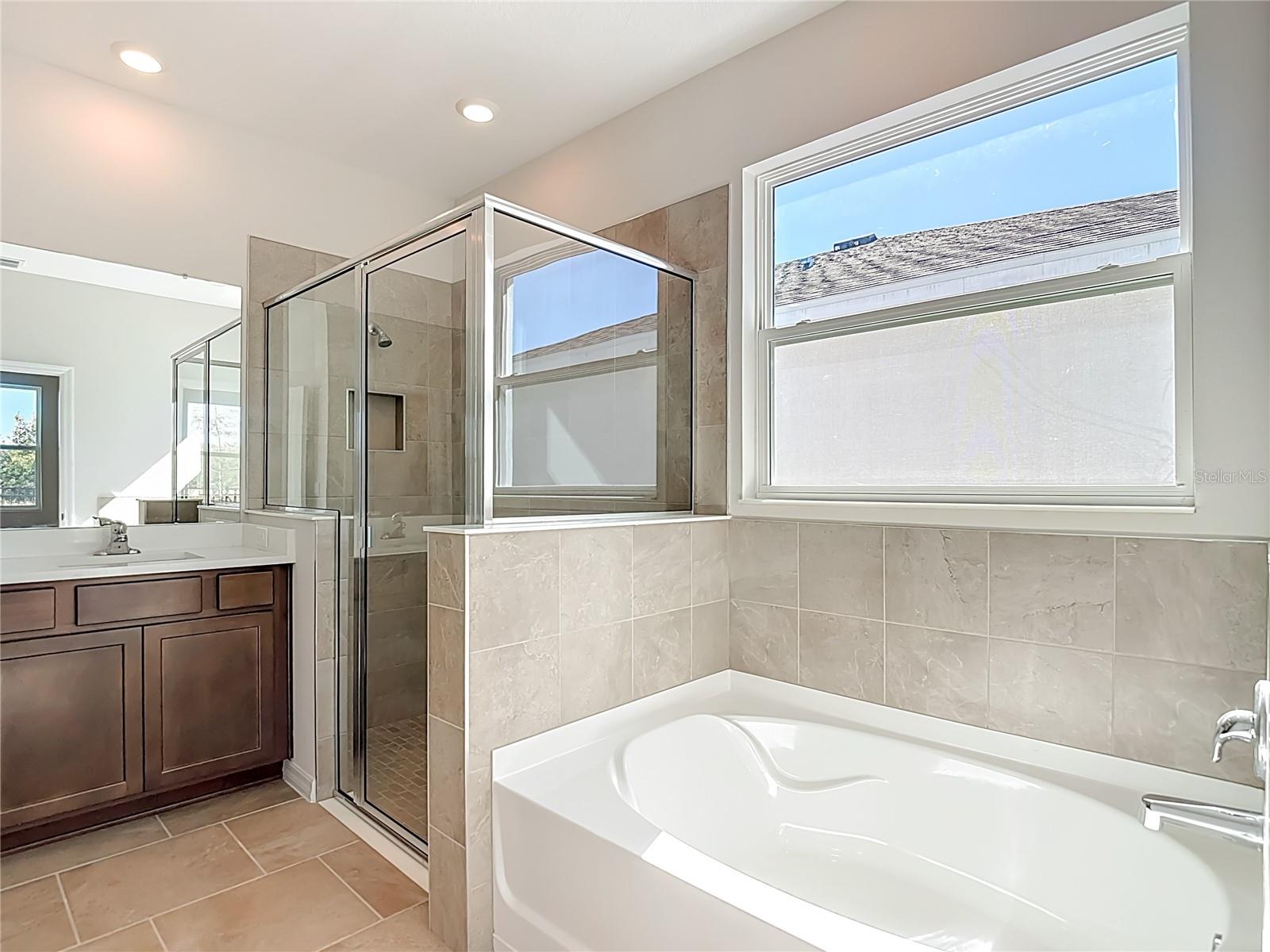 Image 44 of 92 For 10471 Bridgegate Heights Loop