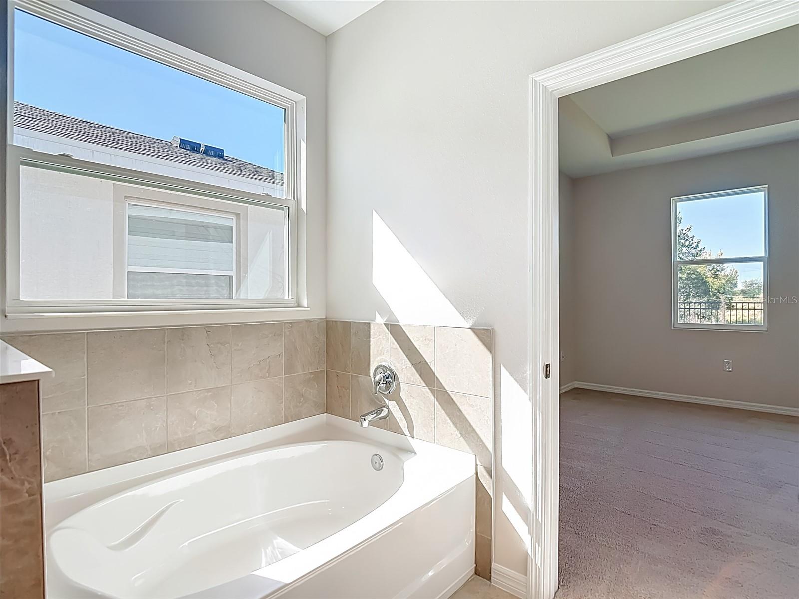 Image 48 of 92 For 10471 Bridgegate Heights Loop