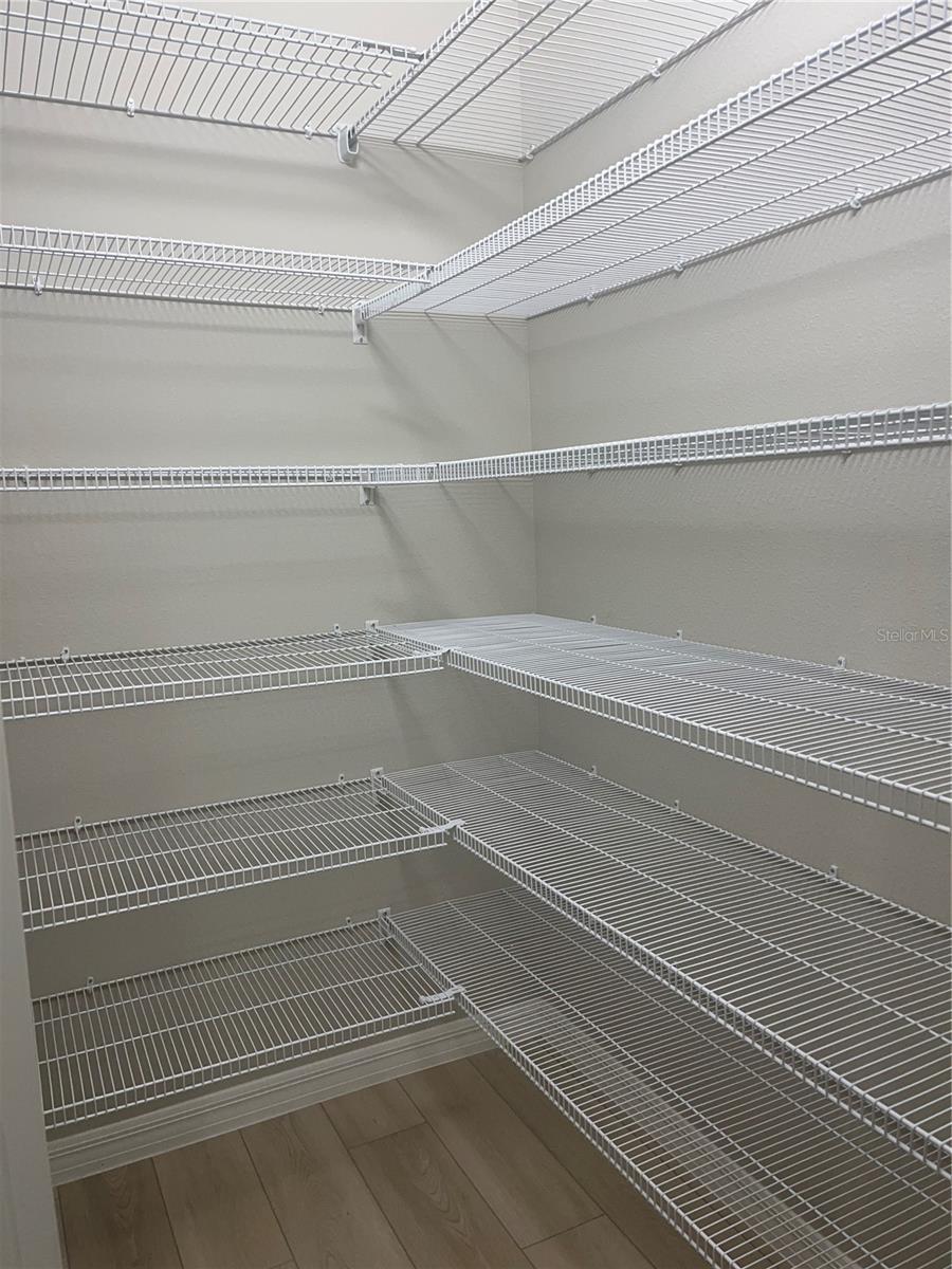 Image 14 of 37 For 34209 Scarlet Sage