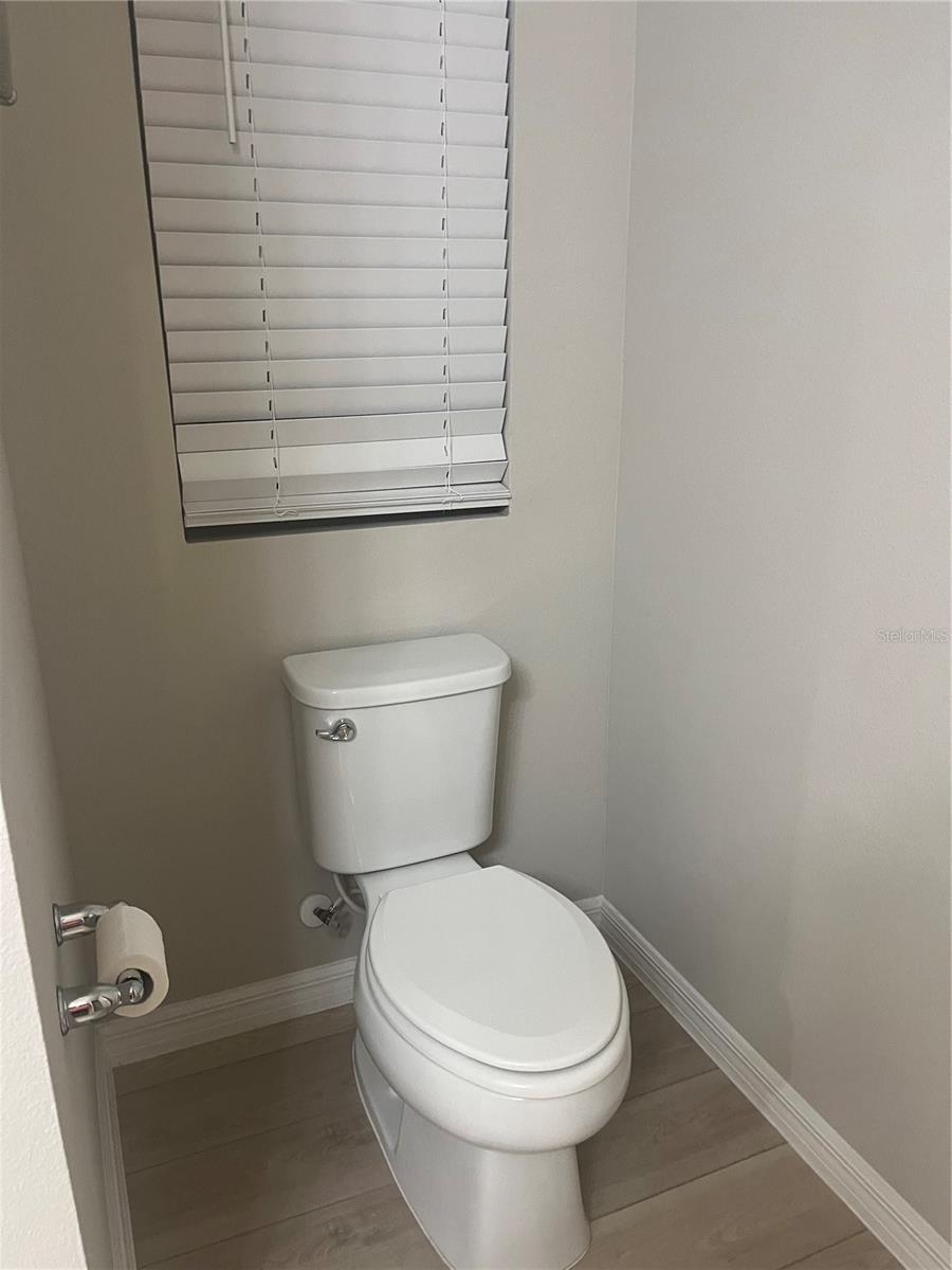 Image 16 of 37 For 34209 Scarlet Sage