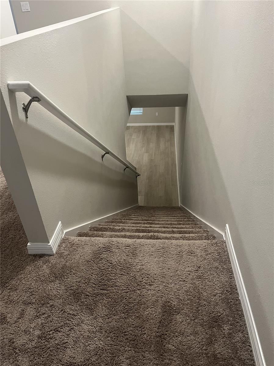 Image 17 of 37 For 34209 Scarlet Sage