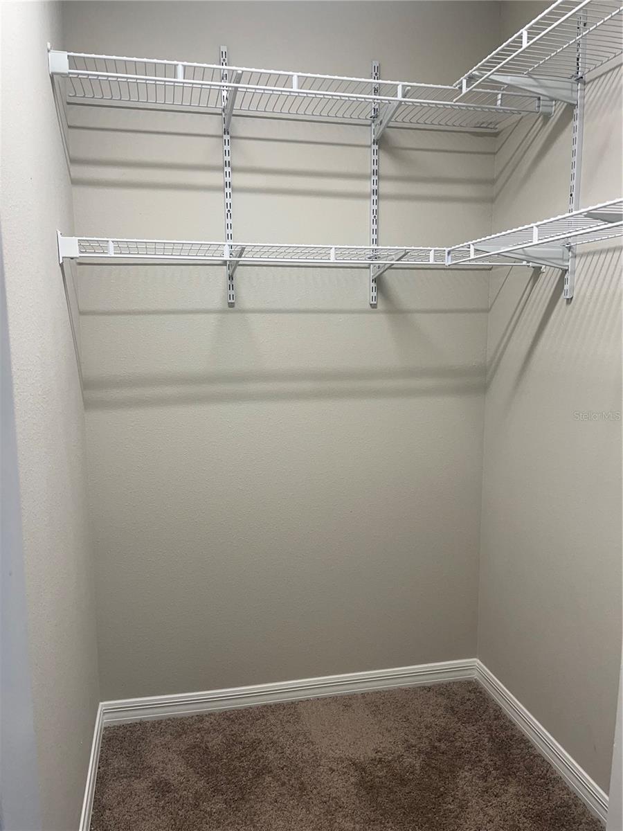 Image 24 of 37 For 34209 Scarlet Sage