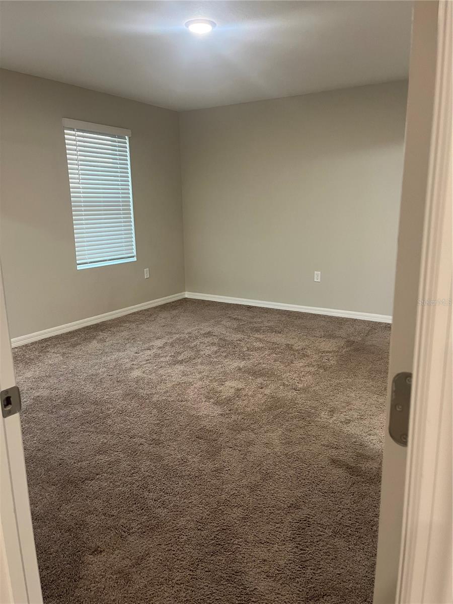 Image 25 of 37 For 34209 Scarlet Sage