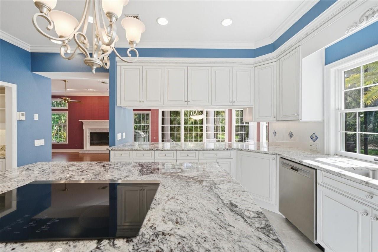 Listing photo id 22 for 15303 Eaton Court