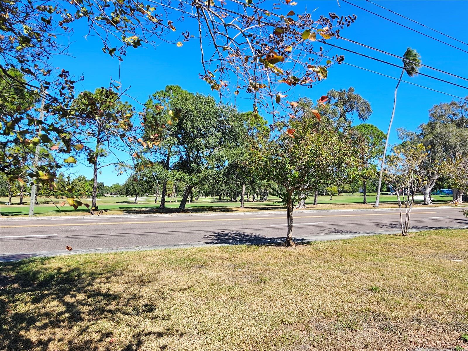 Image 12 of 13 For 1355 Drew Street 203