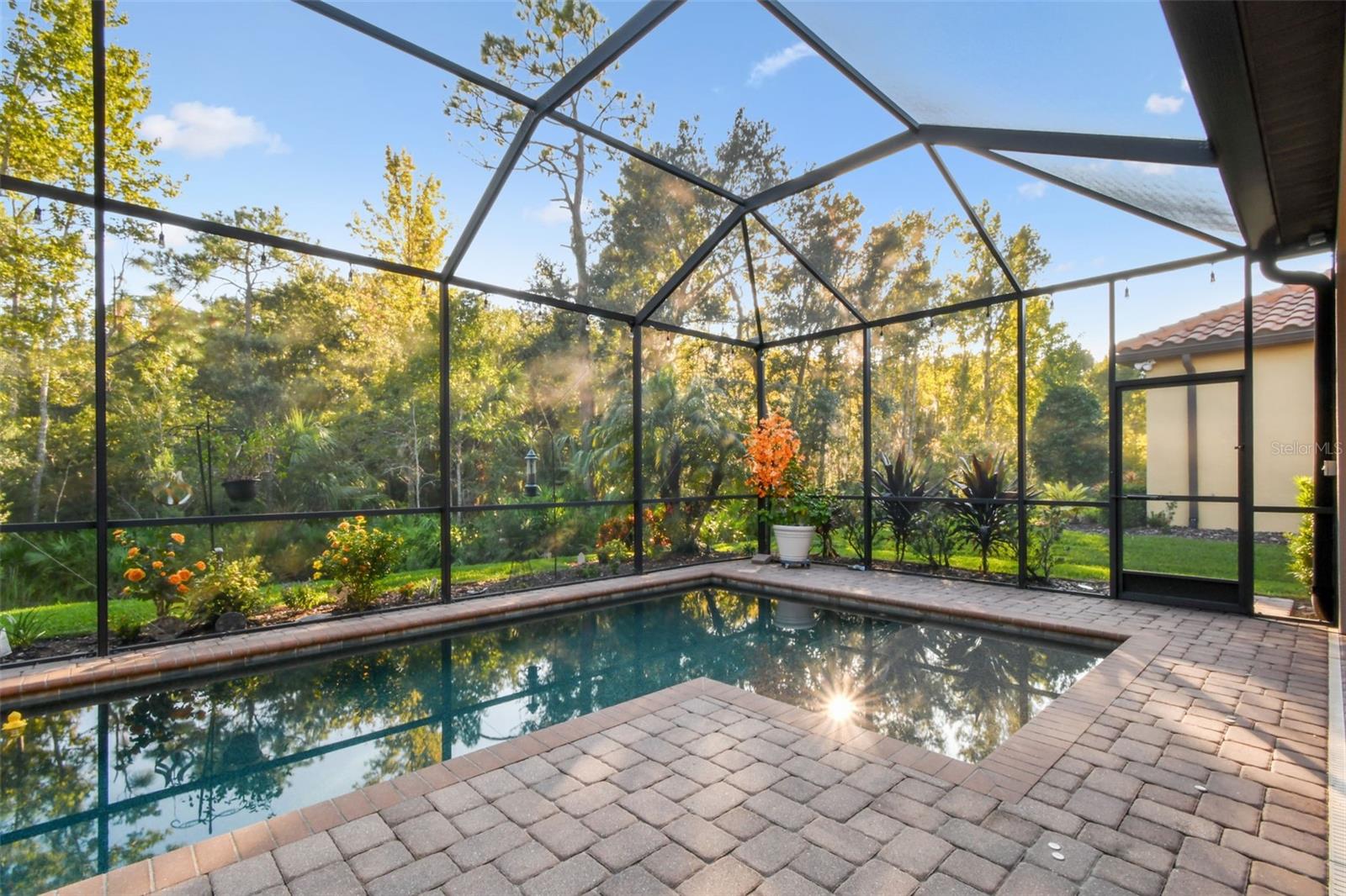 Listing photo id 42 for 8543 Grand Alberato Road