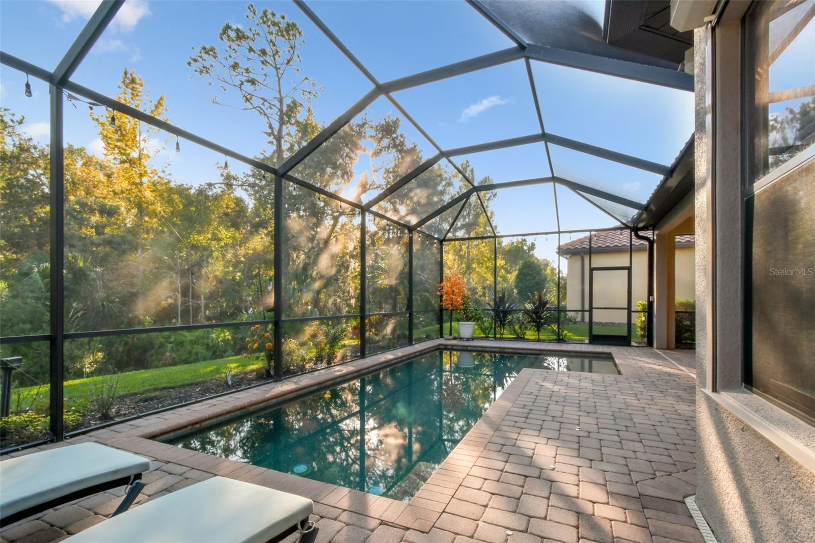 Listing photo id 43 for 8543 Grand Alberato Road