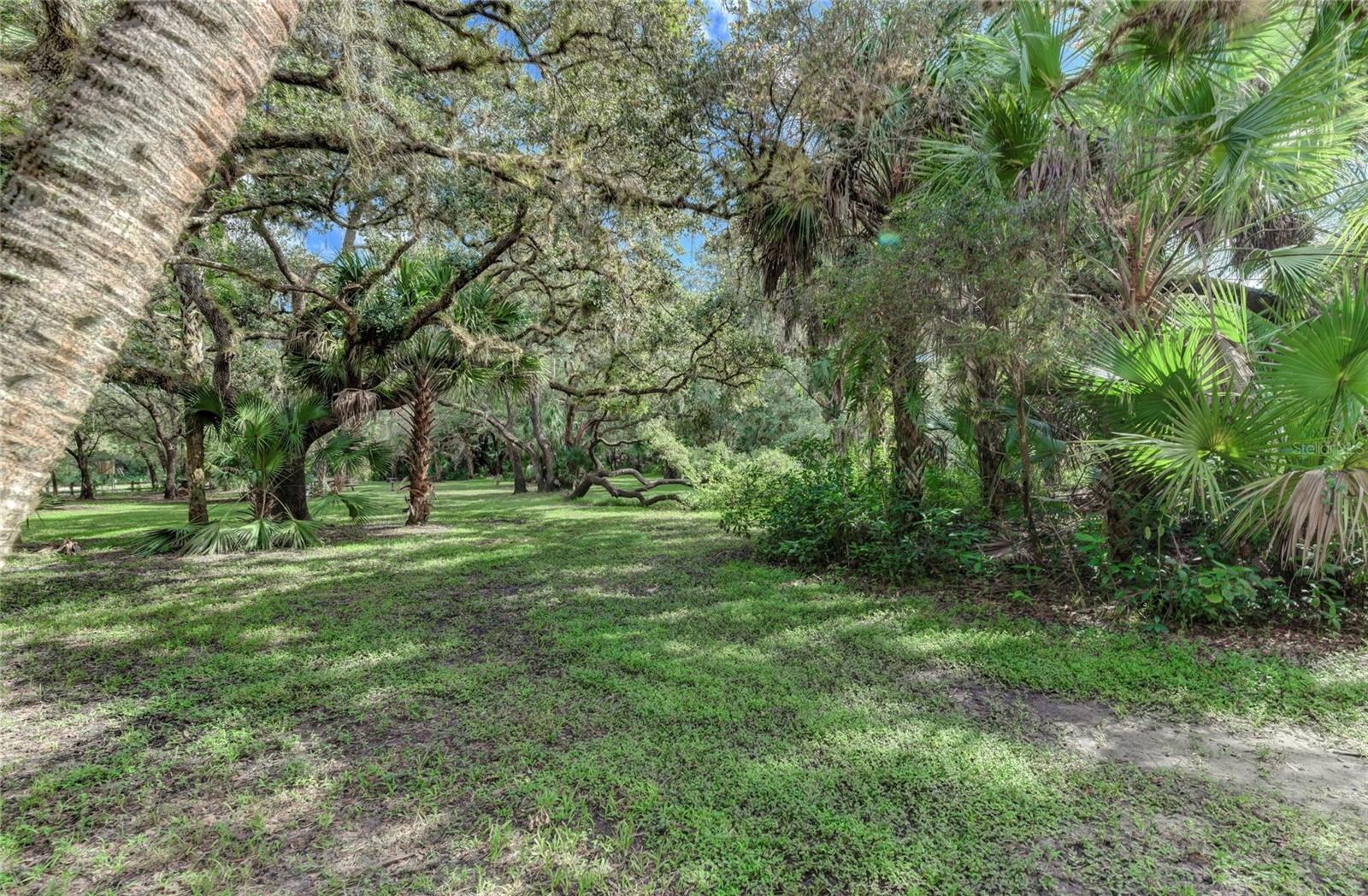 Image 29 of 60 For 1139166907, 1139166908 Gascom Street