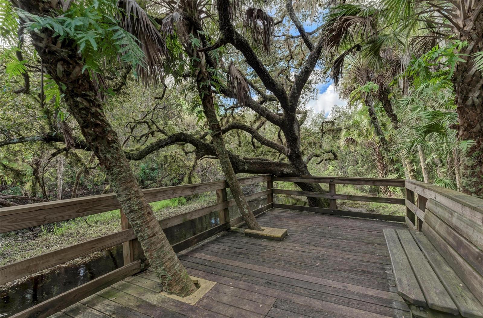 Image 39 of 60 For 1139166907, 1139166908 Gascom Street