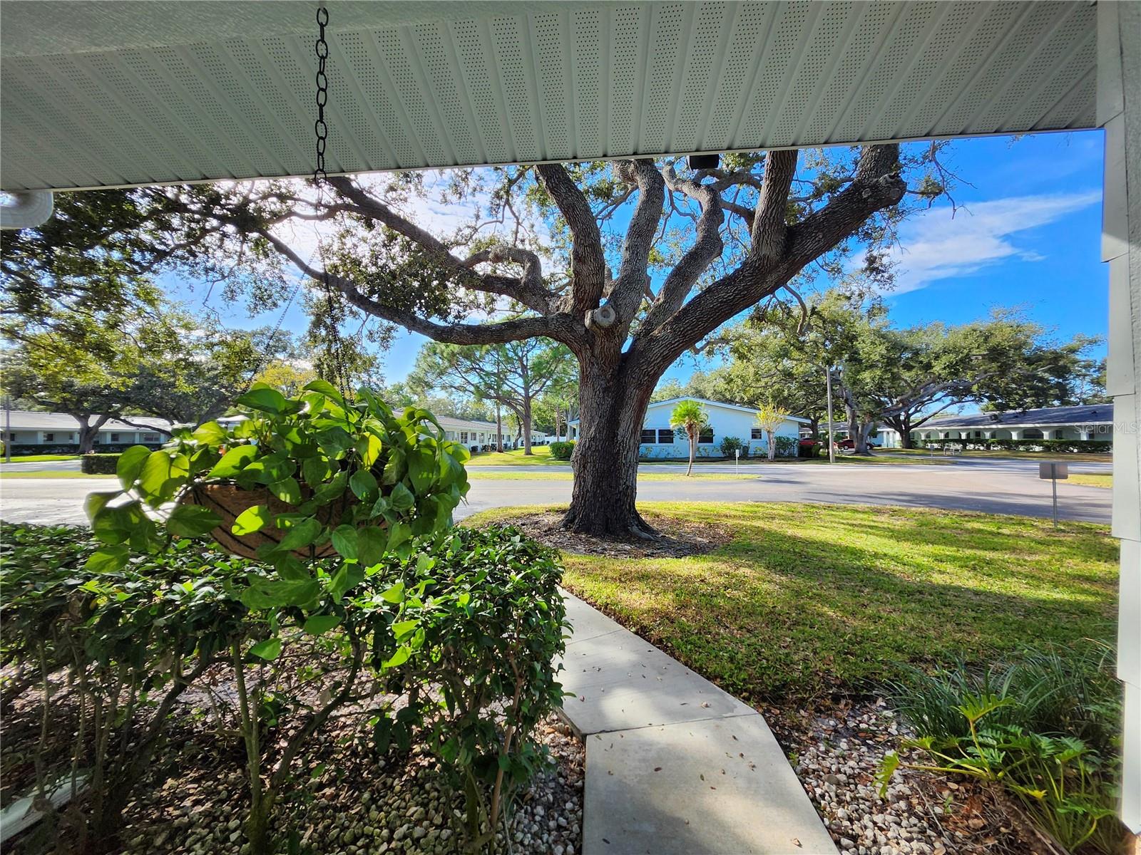 Image 29 of 29 For 11200 102nd Avenue 137