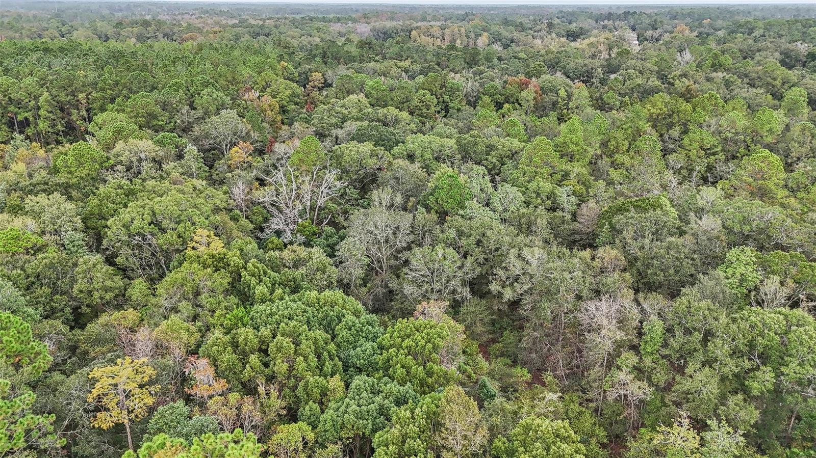 Image 8 of 10 For W Edwards Road