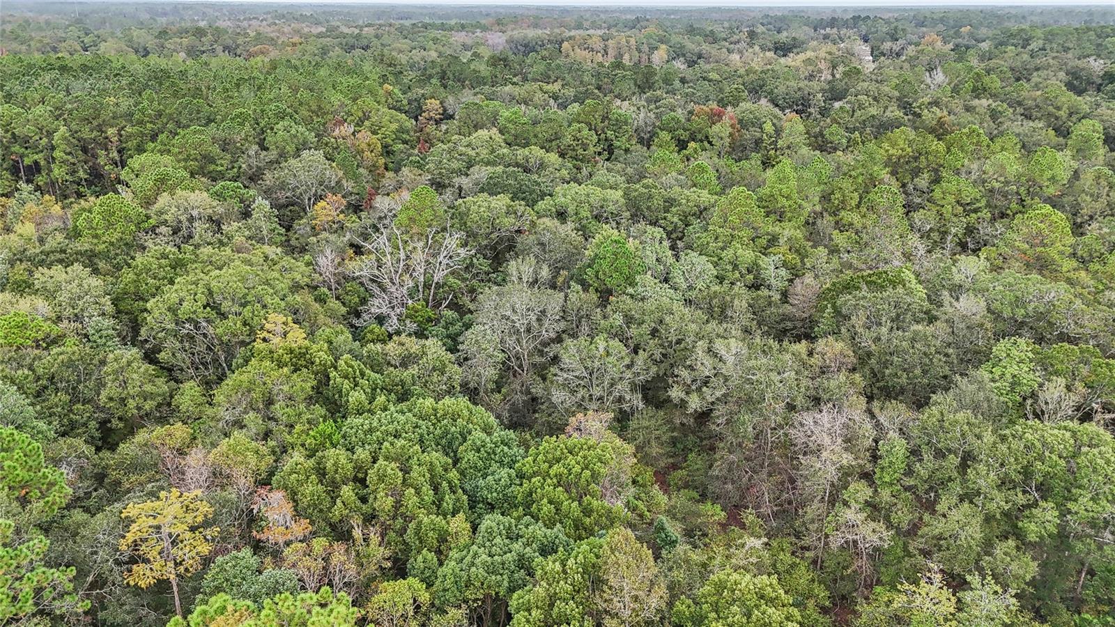 Image 8 of 10 For 0 W Edwards Road