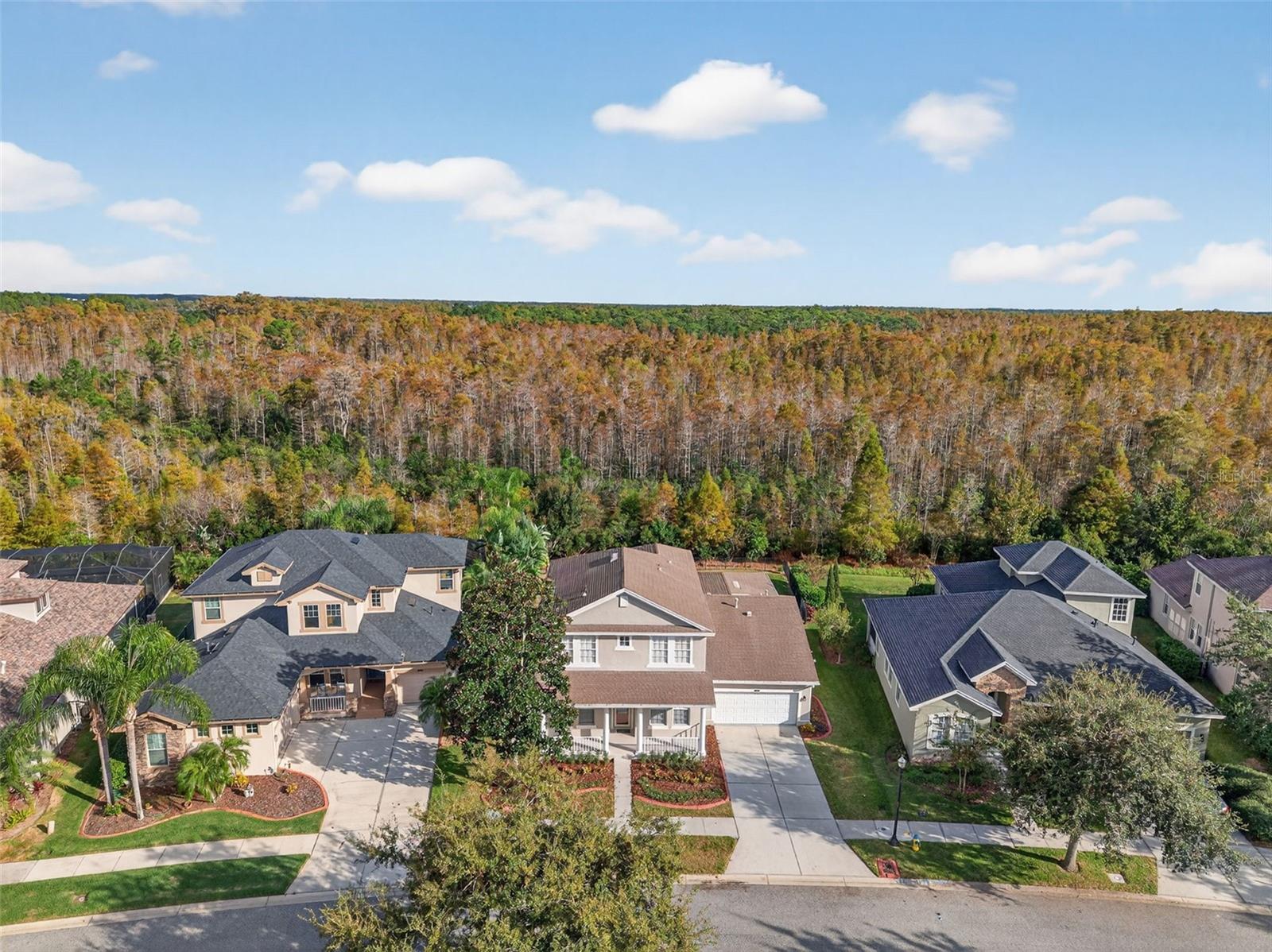 Image 9 of 100 For 8836 Handel Loop