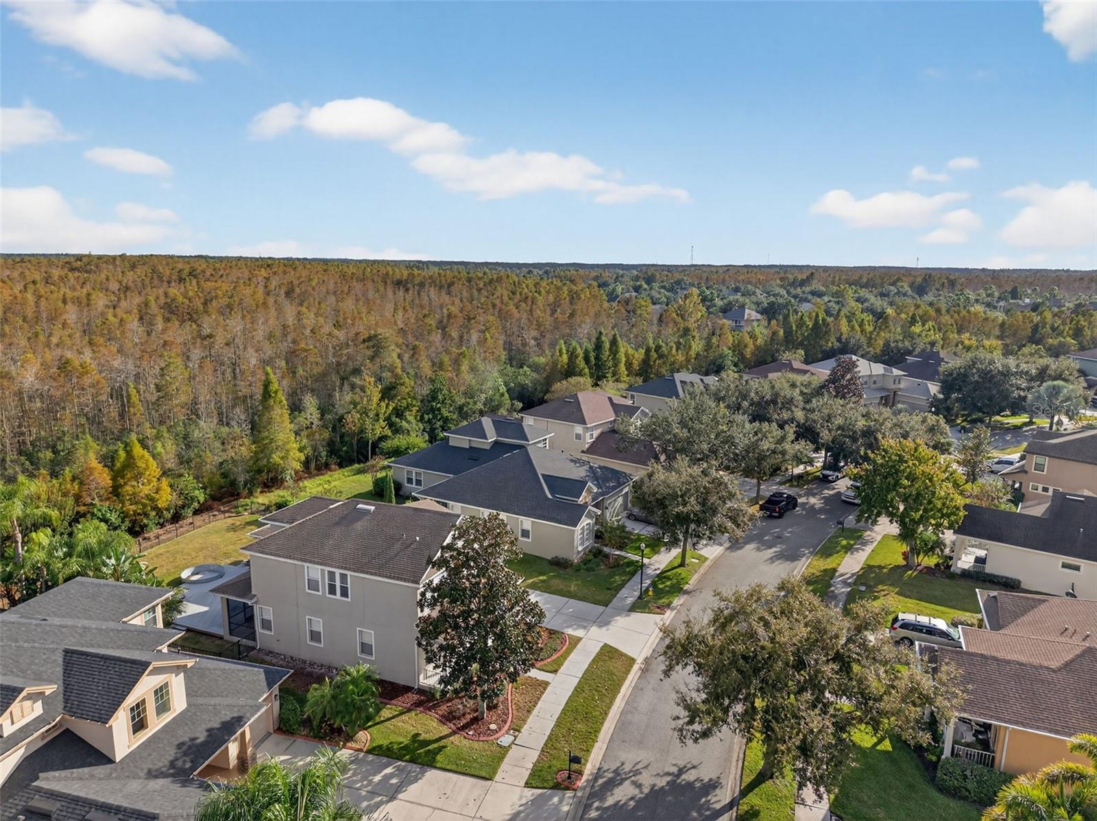 Image 90 of 100 For 8836 Handel Loop