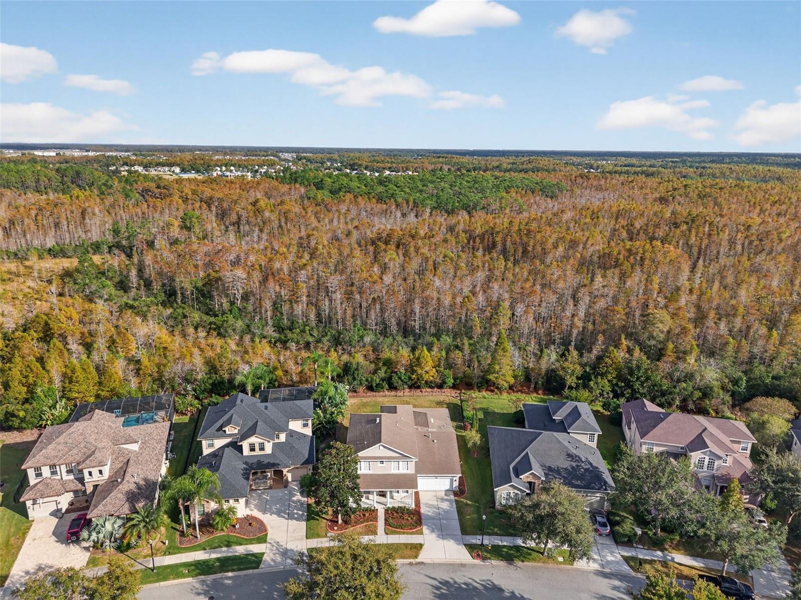 Image 93 of 100 For 8836 Handel Loop