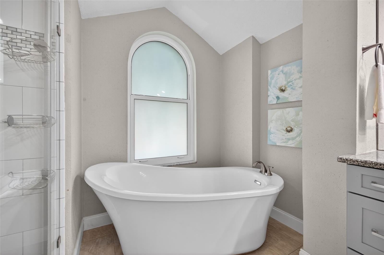 Image 36 of 55 For 4673 Alisa Circle Ne