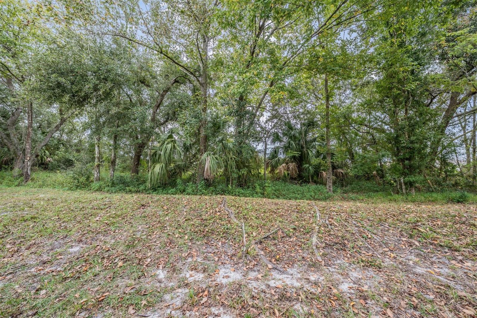 Image 28 of 31 For 4522 Winding River Way