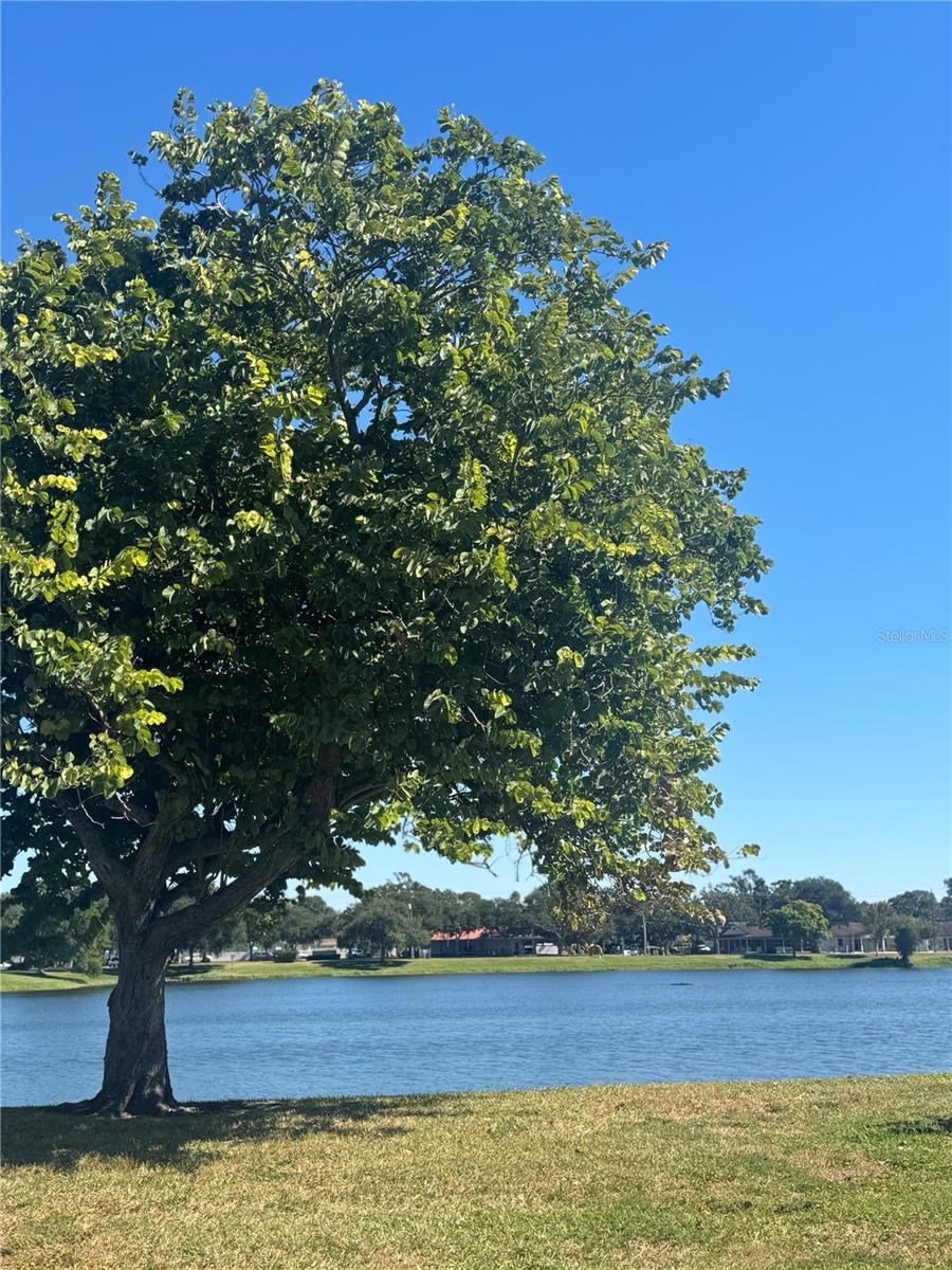 Image 48 of 51 For 1500 39th Street N