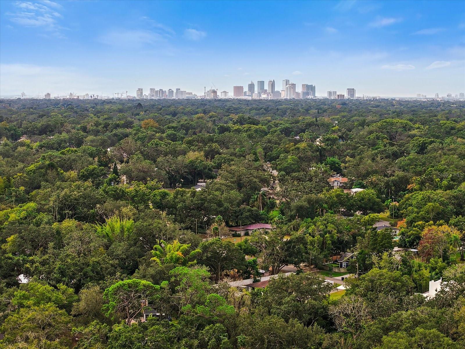 Listing photo id 28 for 7101 18th Street