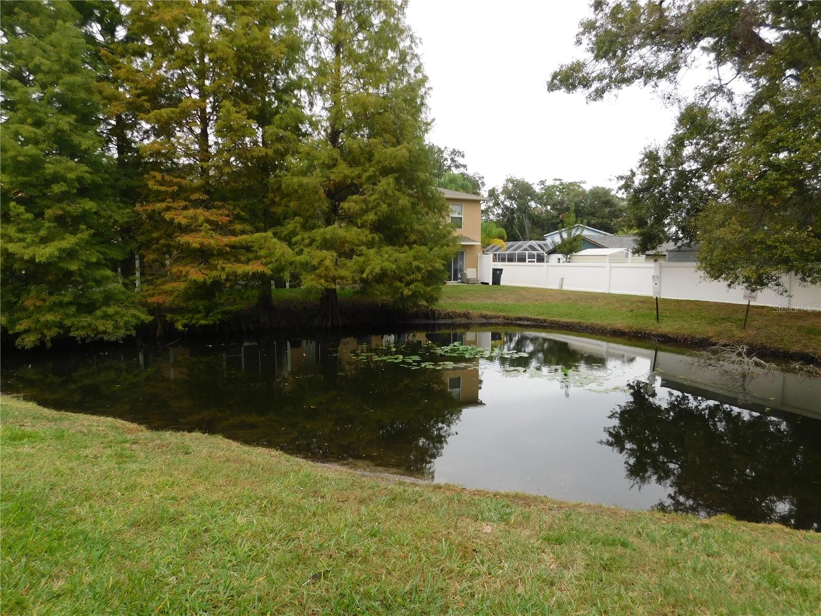 Image 19 of 24 For 8517 Edgewater Place Boulevard