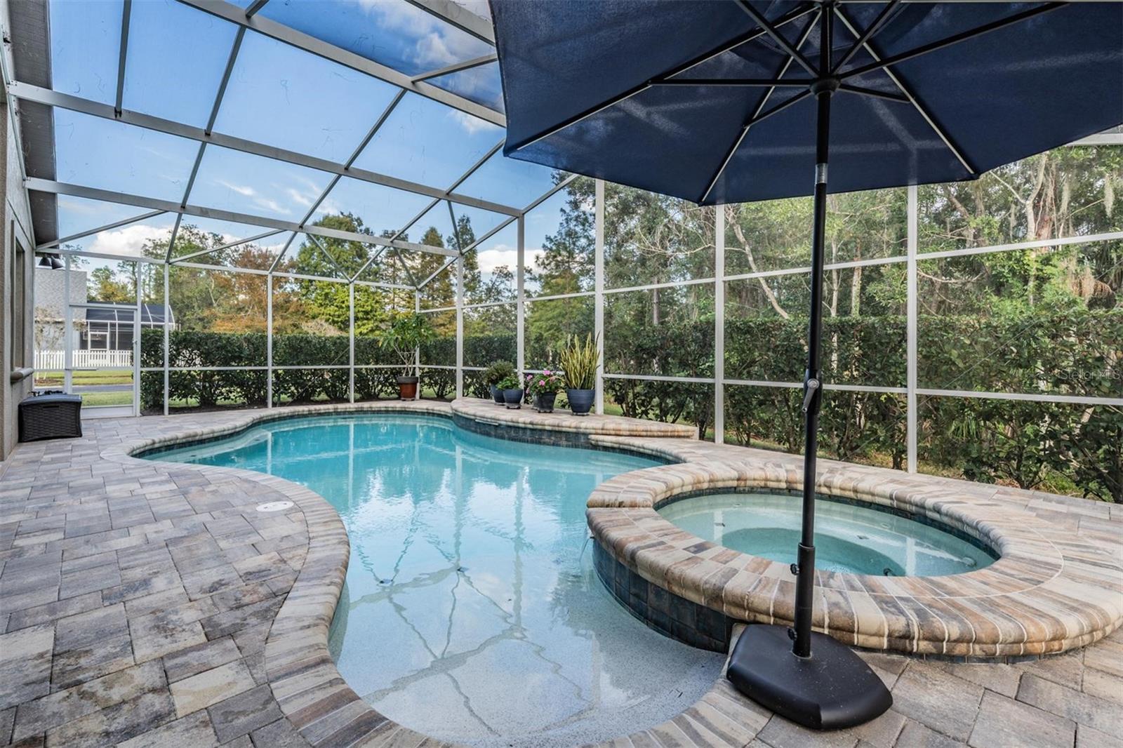 Image 35 of 63 For 27239 Firebush Drive