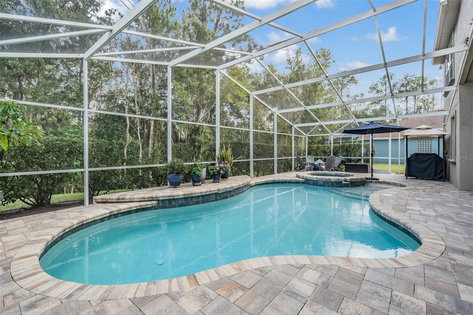 Image 38 of 63 For 27239 Firebush Drive