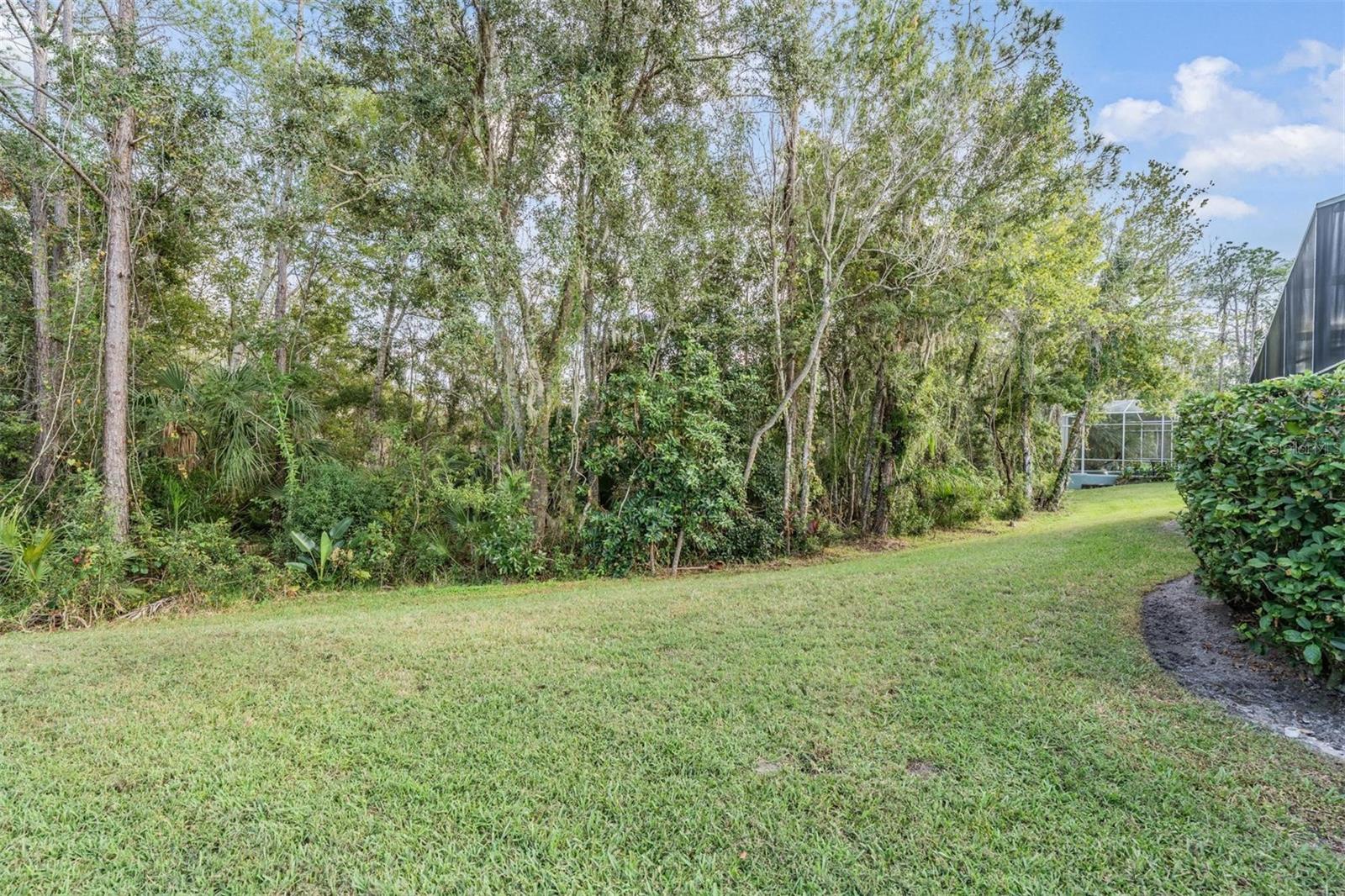 Image 40 of 63 For 27239 Firebush Drive