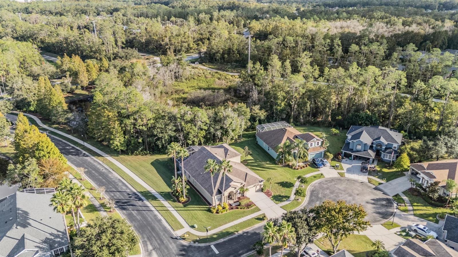 Image 48 of 63 For 27239 Firebush Drive