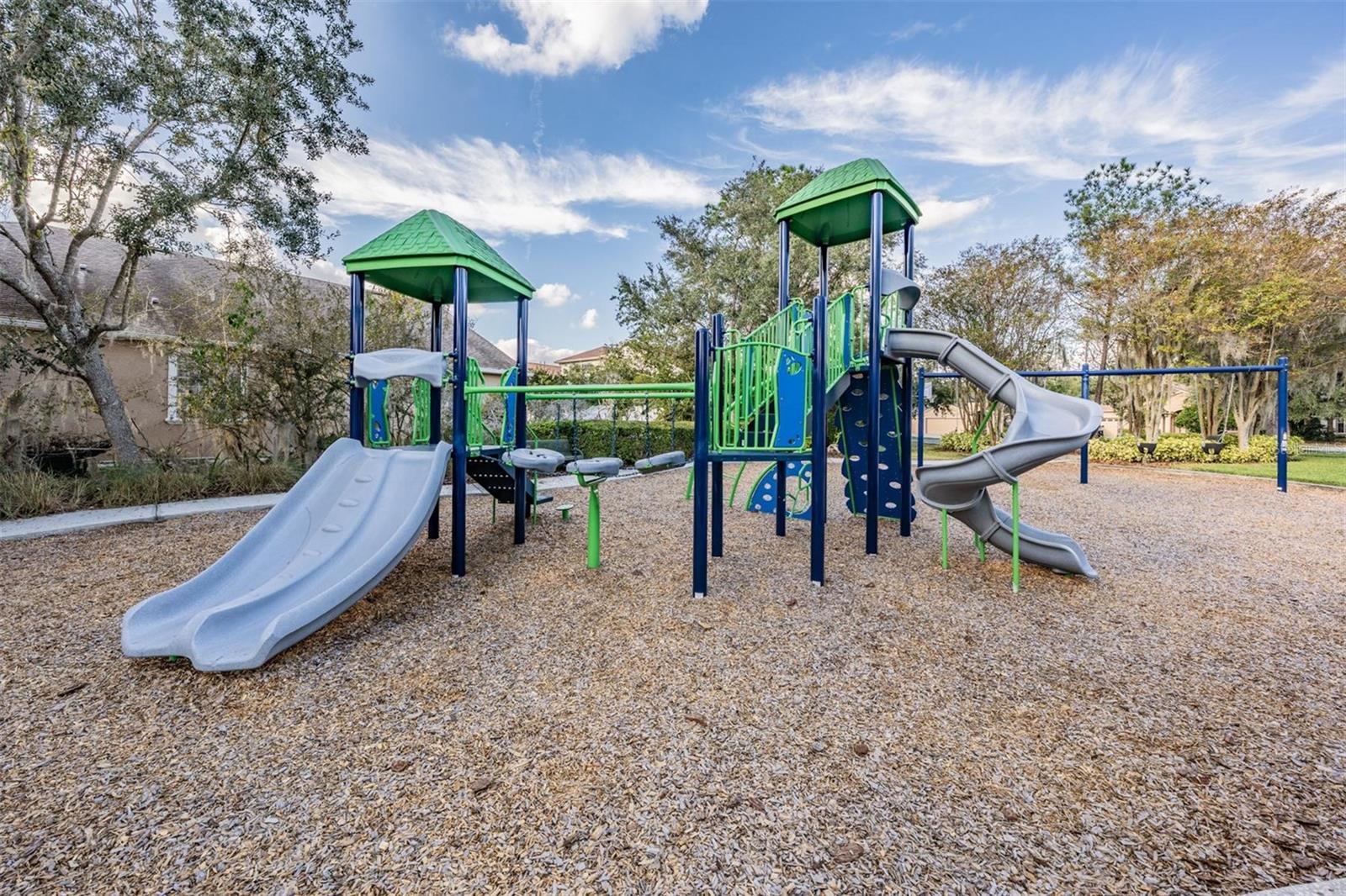 Image 55 of 63 For 27239 Firebush Drive