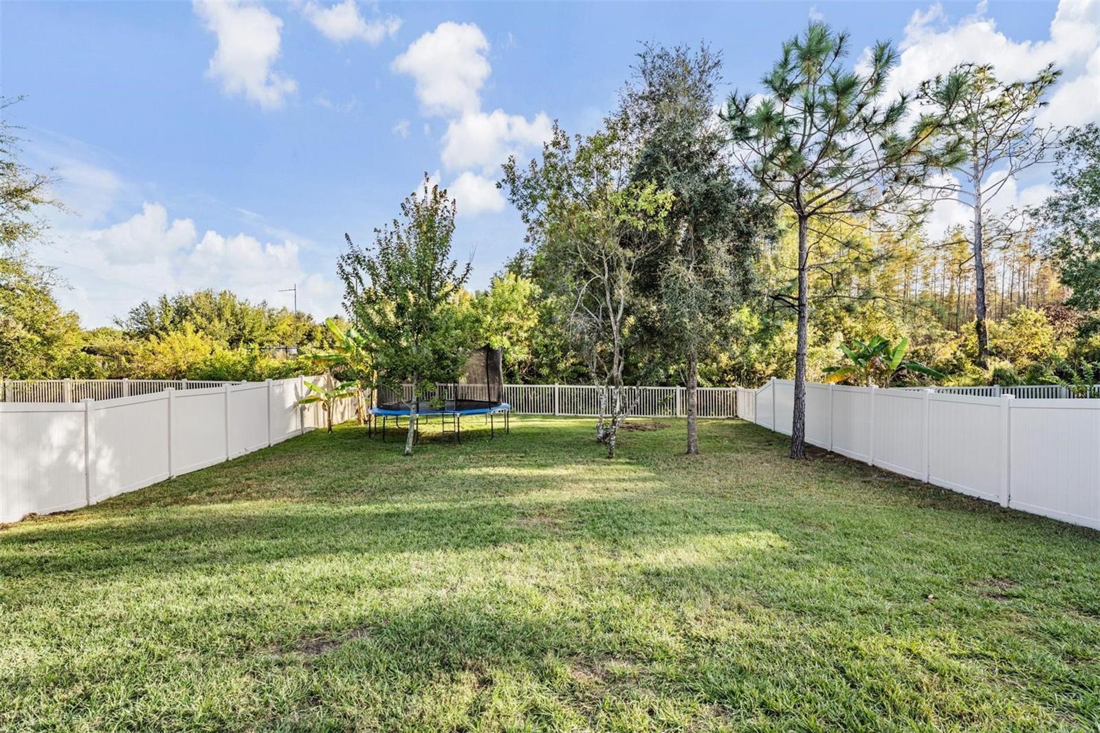 Listing photo id 40 for 9515 Little Bluestem Drive