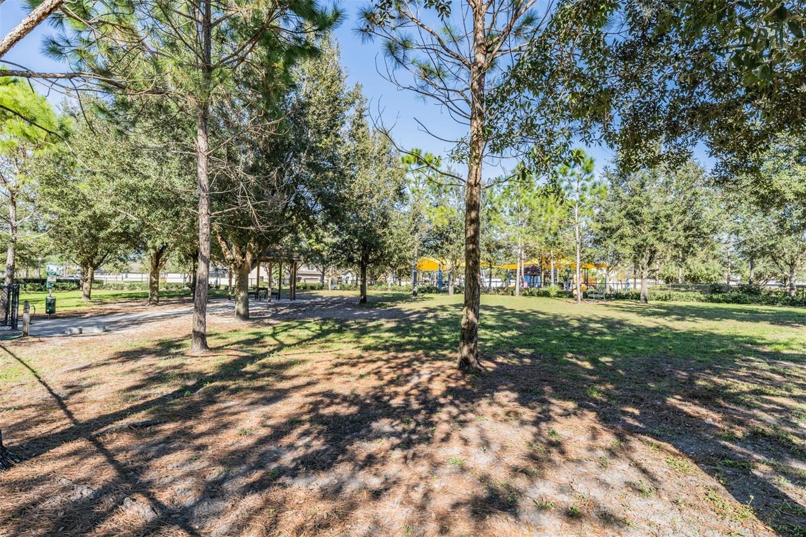 Listing photo id 67 for 9515 Little Bluestem Drive