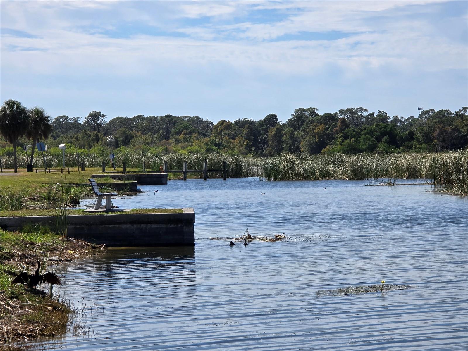 Image 39 of 60 For 701 42nd Avenue S